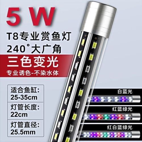 如何選擇適合龍魚的燈具？（—*龍魚燈光選擇全攻略）