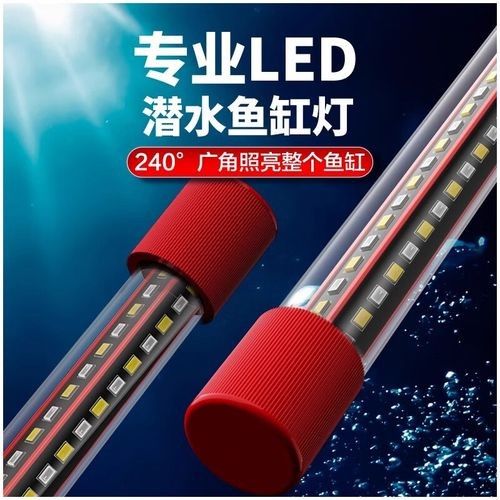 如何選擇適合龍魚的燈具？（—*龍魚燈光選擇全攻略）