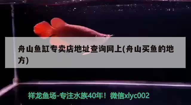 舟山龍魚專賣店：舟山魚缸專賣店