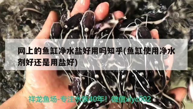網上的魚缸凈水鹽好用嗎知乎(魚缸使用凈水劑好還是用鹽好)（網上的魚缸凈水鹽好用嗎知乎）