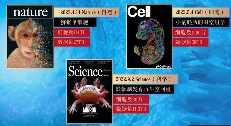 如何挑選高質量的六角海龍？