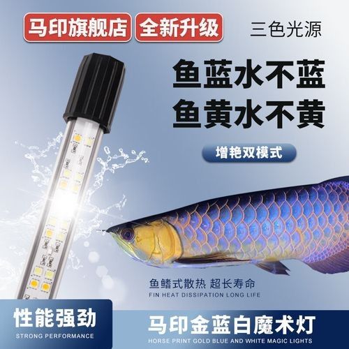 有哪些品牌金龍魚燈推薦？（金龍魚金龍魚發色誘色燈） 有哪些品牌金龍魚燈推薦？（金龍魚金龍魚發色誘色燈） 龍魚百科 第1張