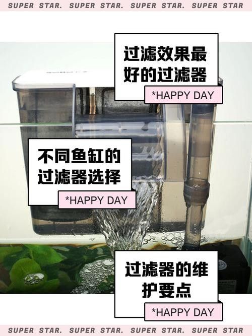 推薦幾款適合火龍魚的過濾器（幾款適合火龍魚的過濾器推薦）