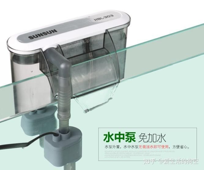 推薦幾款適合火龍魚的過濾器（幾款適合火龍魚的過濾器推薦）