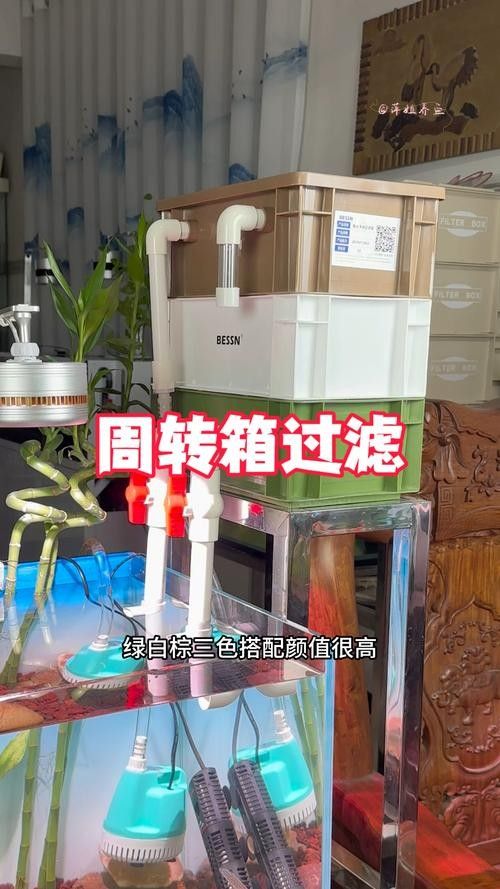 推薦幾款適合火龍魚的過濾器（幾款適合火龍魚的過濾器推薦）