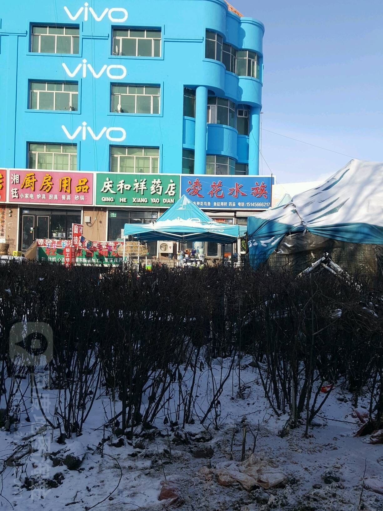 七臺河哪個水族館龍魚好？祥龍魚場龍魚（七臺河市祥龍魚場）