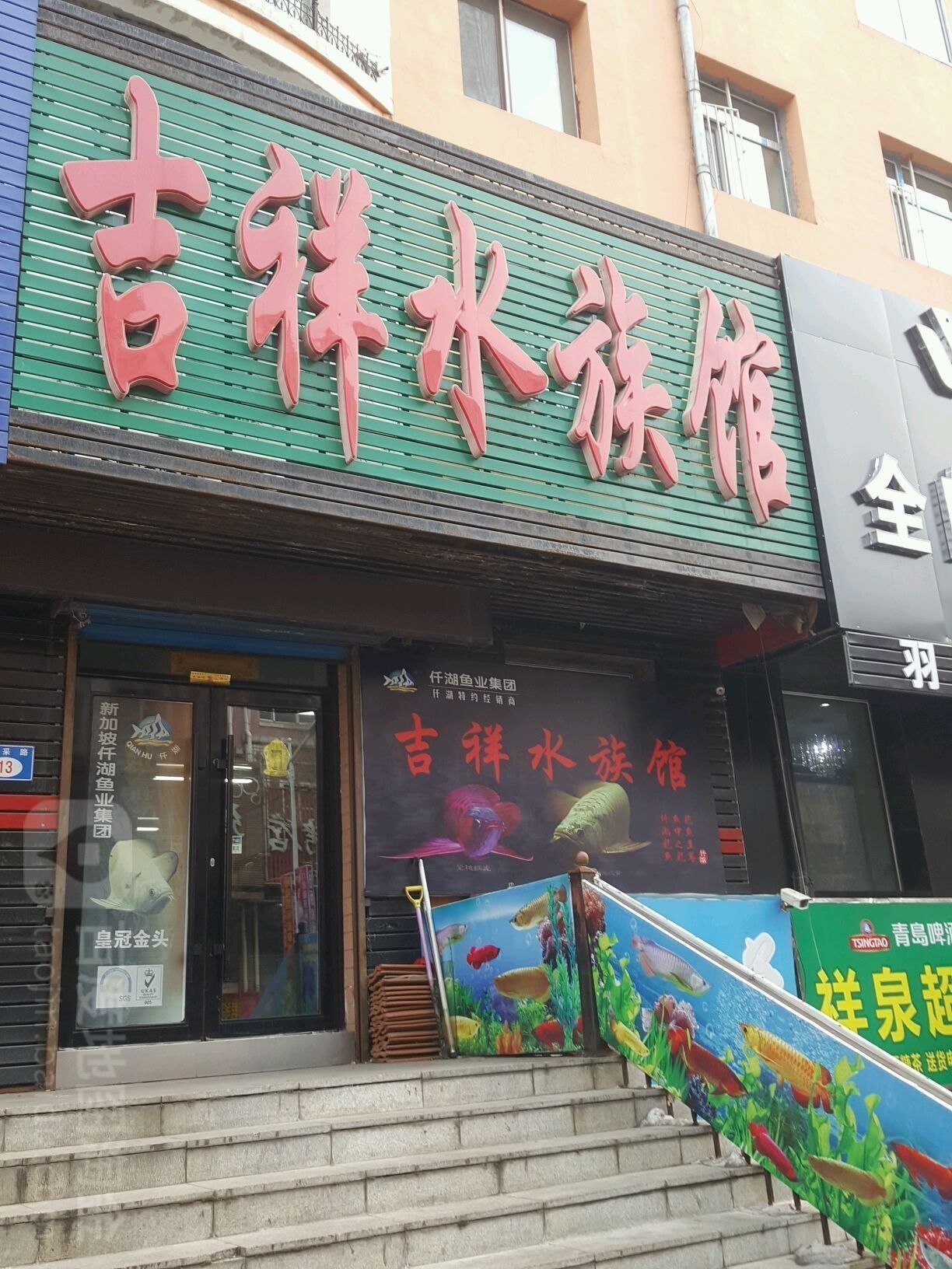 七臺河哪個水族館龍魚好？祥龍魚場龍魚（七臺河市祥龍魚場）