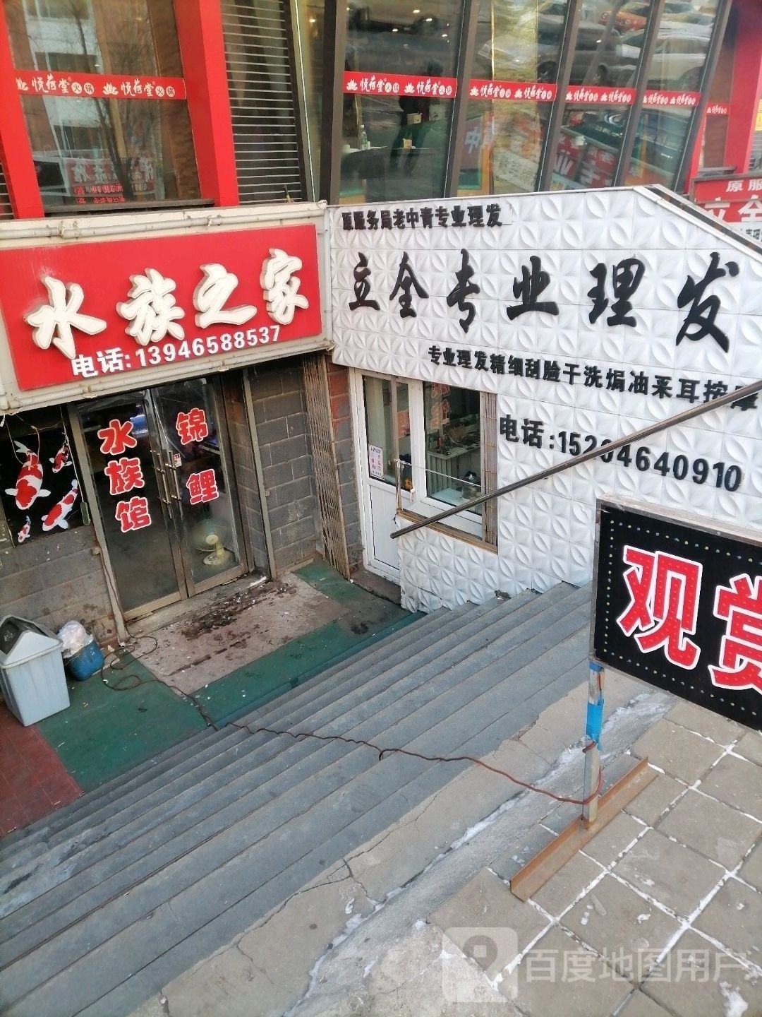 七臺河哪個水族館龍魚好？祥龍魚場龍魚（七臺河市祥龍魚場）