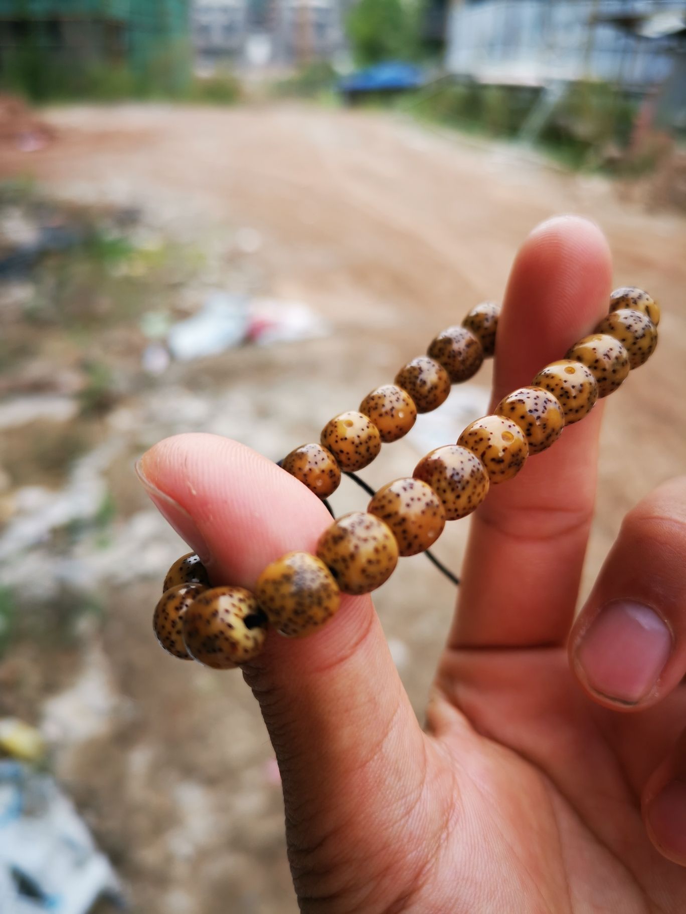 老星月（“老星月”在中國文化中的地位和意義）