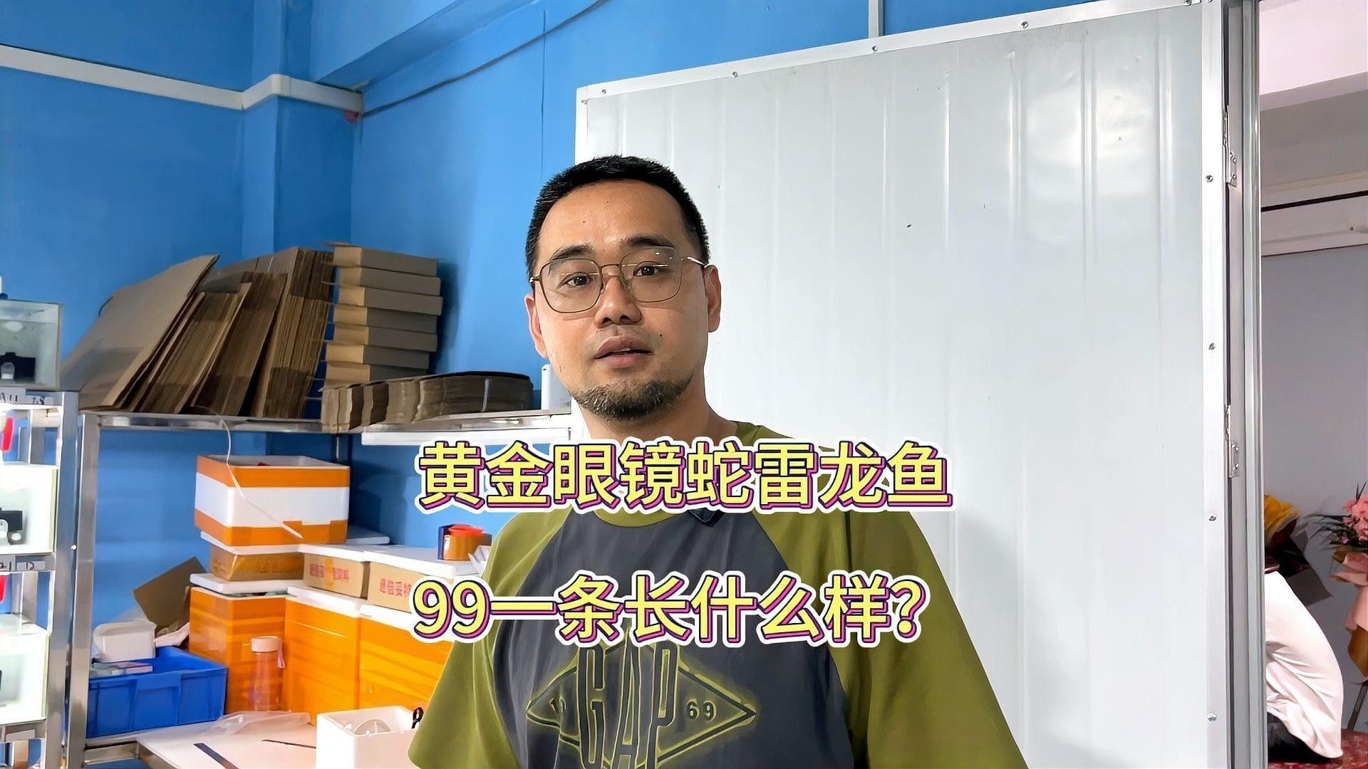 黃金眼鏡蛇雷龍魚的價格范圍（黃金眼鏡蛇雷龍魚價格） 黃金眼鏡蛇雷龍魚的價格范圍（黃金眼鏡蛇雷龍魚價格） 龍魚百科 第5張