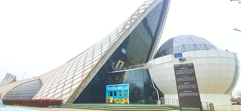 徐州鼓樓哪個水族館龍魚好？祥龍魚場龍魚（徐州鼓樓區有哪些水族館？） 徐州鼓樓哪個水族館龍魚好？祥龍魚場龍魚（徐州鼓樓區有哪些水族館？） 龍魚百科 第8張