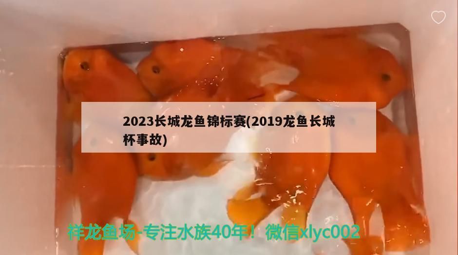 2023長城龍魚錦標賽(2019龍魚長城杯事故)（2023長城龍魚錦標賽）