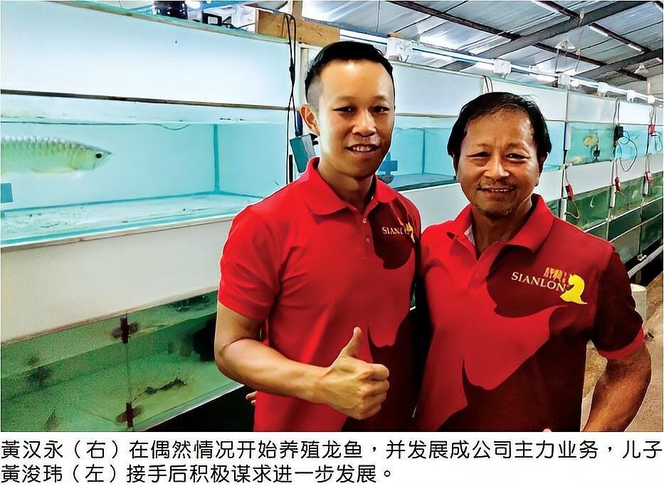 峨邊哪個水族館龍魚好？祥龍魚場龍魚（峨邊哪個水族館龍魚好祥龍魚場龍魚場龍魚價格表） 峨邊哪個水族館龍魚好？祥龍魚場龍魚（峨邊哪個水族館龍魚好祥龍魚場龍魚場龍魚價格表） 龍魚百科 第9張