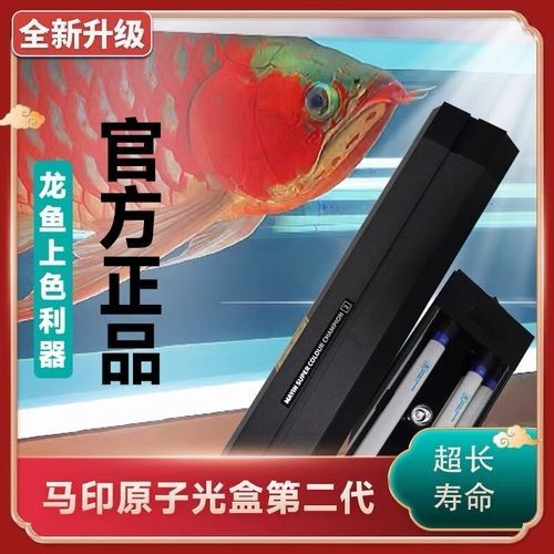 馬印系列燈管哪個型號最節能？（馬印燈管哪個型號最節能）