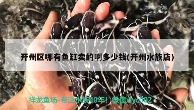 開州區(qū)哪有魚缸賣的啊多少錢(開州水族店)（關于開州水族店的問題）