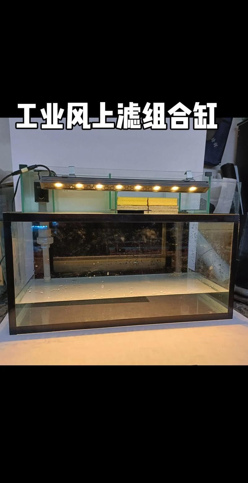 成品缸和定制缸哪個更耐用（探討成品缸和定制缸哪個更耐用哪個更耐用）