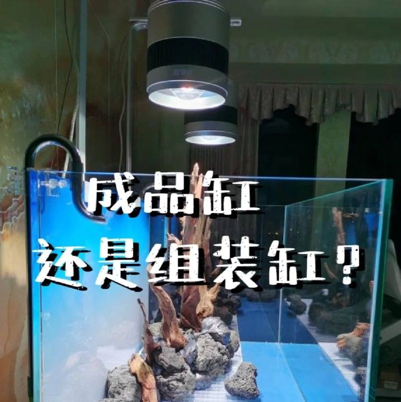 成品缸和定制缸哪個更耐用（探討成品缸和定制缸哪個更耐用哪個更耐用）