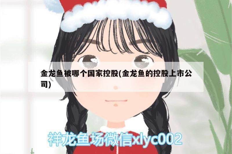 金龍魚被哪個國家控股(金龍魚的控股上市公司)（金龍魚的老板是新加坡人）
