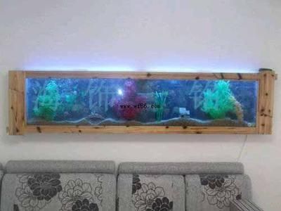 詳細閱讀:室內裝修魚缸好嗎視頻(室內裝修中魚缸圖片欣賞) 室內裝修魚缸好嗎視頻(室內裝修中魚缸圖片欣賞)