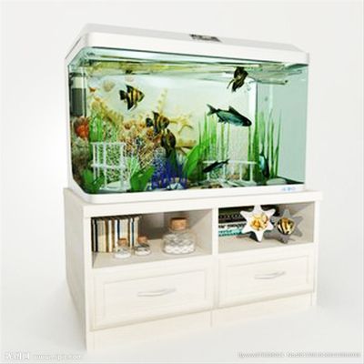 室內裝修魚缸好嗎視頻(室內裝修中魚缸圖片欣賞) 觀賞魚百科 第6張 室內裝修魚缸好嗎視頻(室內裝修中魚缸圖片欣賞) 室內裝修魚缸好嗎視頻(室內裝修中魚缸圖片欣賞) 觀賞魚百科 第6張