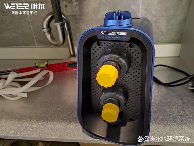 金龍魚需要多大的加熱器（如何選擇適合金龍魚的加熱器） 金龍魚需要多大的加熱器（如何選擇適合金龍魚的加熱器） 龍魚百科 第1張