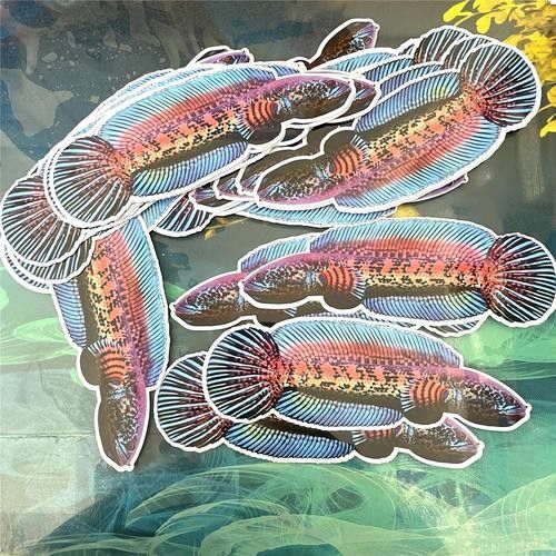 給我一張雷龍魚的素描畫（手繪線描龍魚）