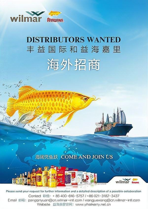 金龍魚的主要業務是否涉及日本（金龍魚在日本市場的未來規劃是什么金龍魚在日本銷售額是多少）
