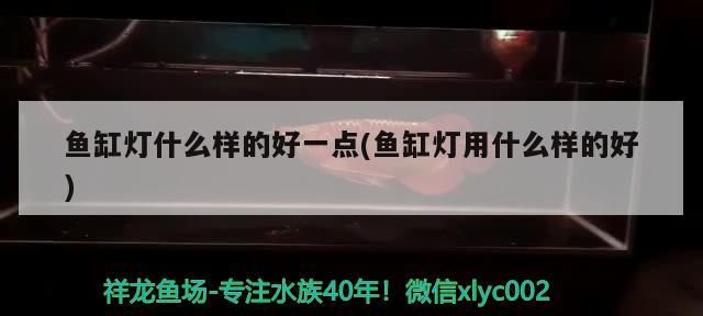 魚缸燈什么樣的好一點(魚缸燈用什么樣的好)（魚缸養魚用什么燈好）