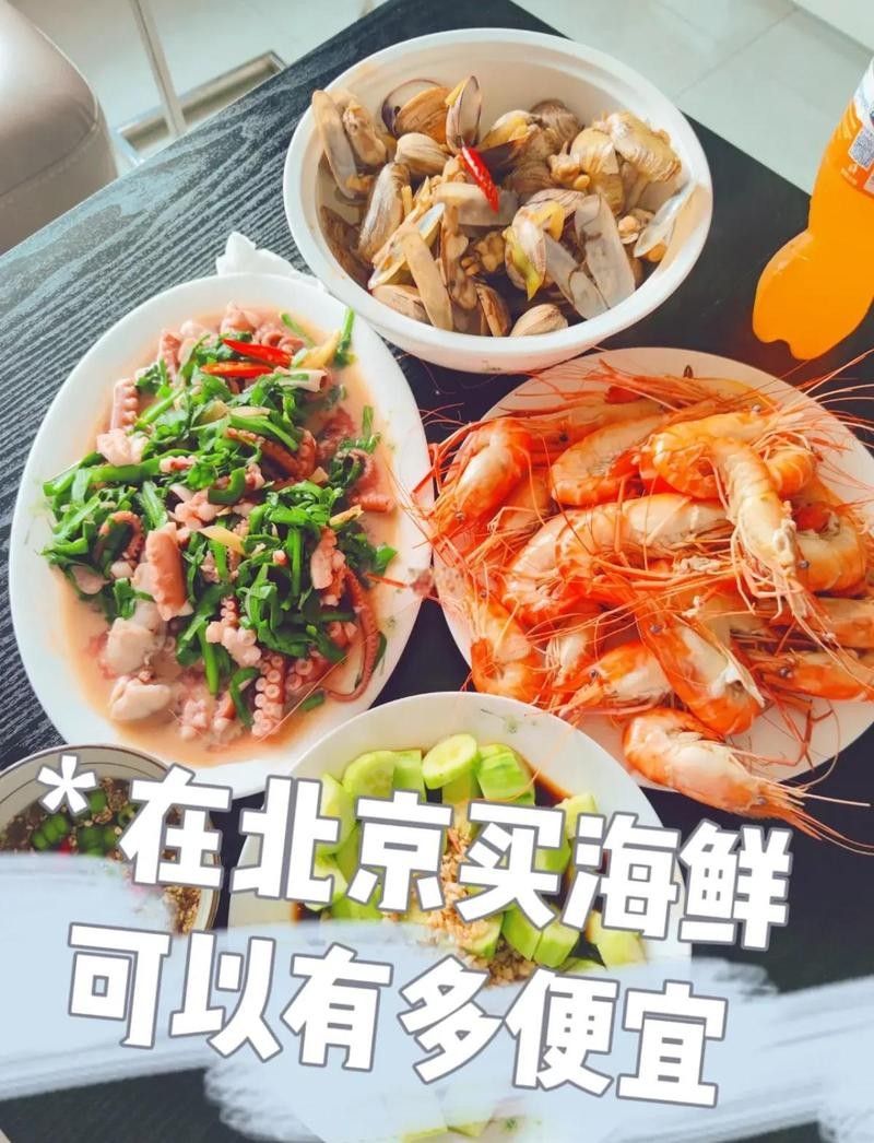 鎮宅黑魚需要哪些設備，鎮宅黑魚養護與設備清單
