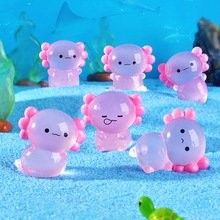 開封龍魚批發價格如何（開封龍魚批發價格大揭秘）