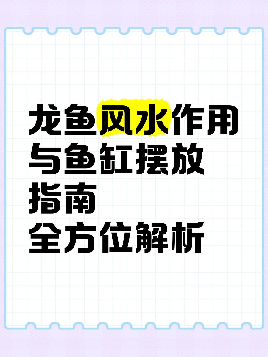 不同種類的龍魚風(fēng)水有何區(qū)別（不同種類的龍魚在風(fēng)水上有何區(qū)別） 不同種類的龍魚風(fēng)水有何區(qū)別（不同種類的龍魚在風(fēng)水上有何區(qū)別） 龍魚百科 第2張