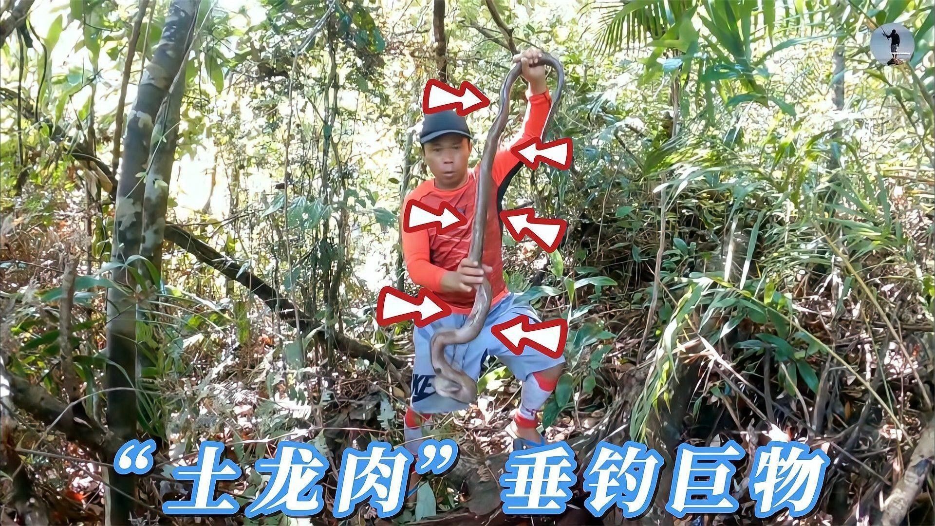 土龍魚的市場需求如何？（廈門土龍魚一斤多少錢一斤多少錢一斤多少錢一斤影兒）
