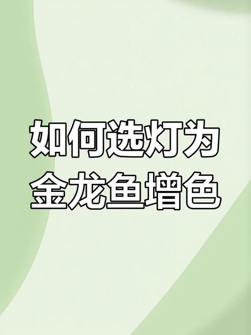 如何判斷金龍魚燈是否合適（如何判斷金龍魚燈是否適合）