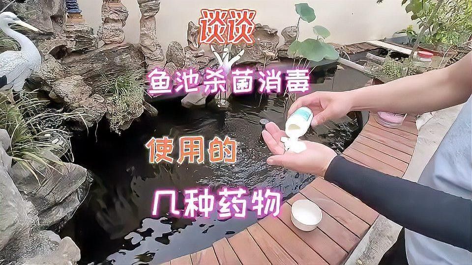 如何消毒處理活餌（如何安全地消毒活餌）