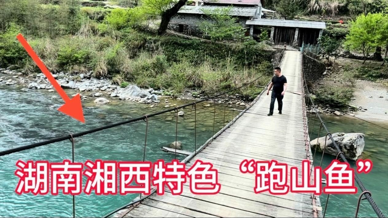 過山龍魚的主要食物有哪些？（過山龍魚喂食排行榜過山龍魚喂食排行榜龍魚喂食排行榜）