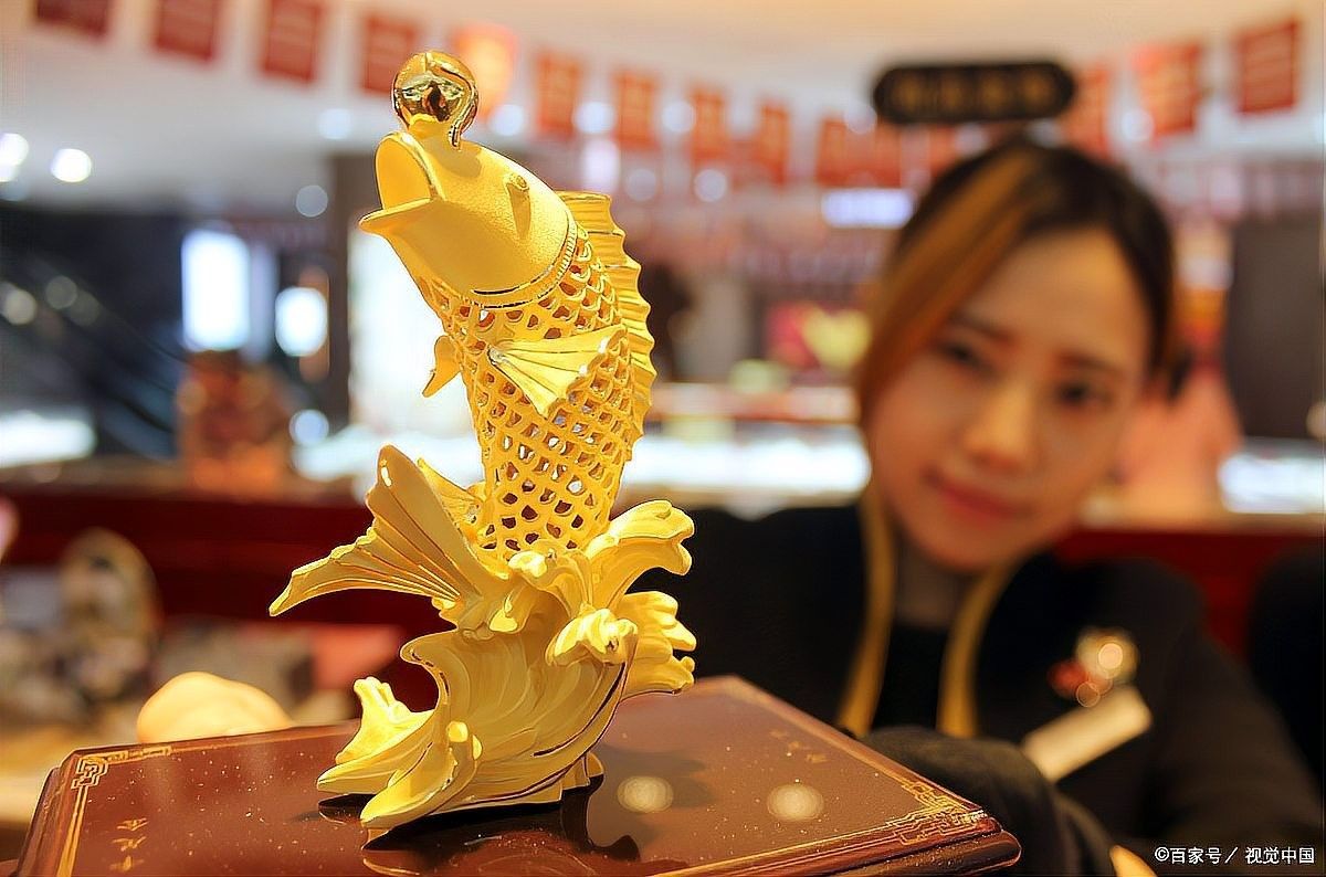 金龍魚有哪些寓意（金龍魚的寓意和象征是什么金龍魚的寓意和象征是什么）