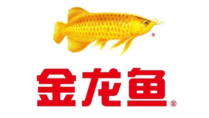 金龍魚廣告視頻有哪些系列（金龍魚廣告視頻導(dǎo)演唐威viko有哪些作品）