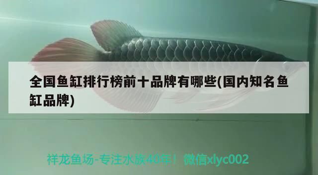 全國魚缸排行榜前十品牌有哪些(國內知名魚缸品牌)（全國魚缸排行榜前十品牌）