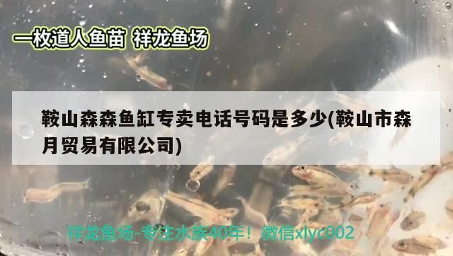 鞍山森森魚缸專賣電話號碼是多少(鞍山市森月貿易有限公司)（鞍山市森月貿易有限公司、鞍山森森魚缸專賣電話號碼是多少的介紹）