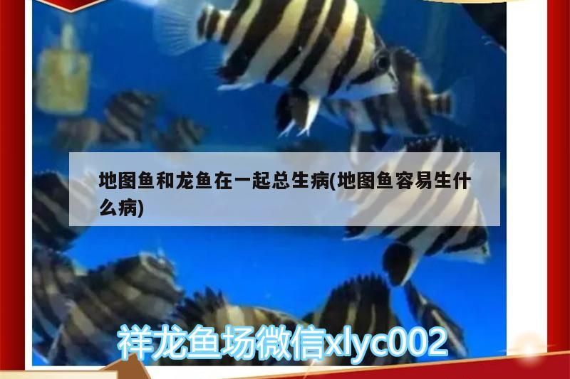 萬吉常規記錄一下（萬吉公司如何通過常規記錄來確保業務流程的高效性和透明度）