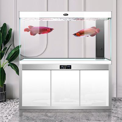 和田龍魚專賣店：保山和田龍魚專賣店