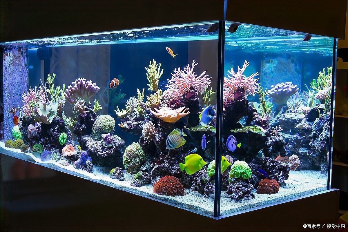 龍魚閣圓柱形魚缸的詳細(xì)參數(shù)（龍魚閣圓柱形魚缸價(jià)格范圍是多少龍魚閣圓柱形魚缸防水秘訣）