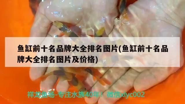 魚缸前十名品牌大全排名圖片(魚缸前十名品牌大全排名圖片及價格)(魚缸前十名品牌大全) 觀賞魚百科 第3張 魚缸前十名品牌大全排名圖片(魚缸前十名品牌大全排名圖片及價格)(魚缸前十名品牌大全) 魚缸前十名品牌大全排名圖片(魚缸前十名品牌大全排名圖片及價格)(魚缸前十名品牌大全) 觀賞魚百科 第3張