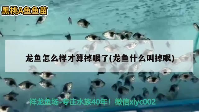 龍魚怎么樣才算掉眼了(龍魚什么叫掉眼)