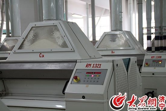 濟寧金龍魚有哪些部門 濟寧金龍魚有哪些部門 龍魚百科 第1張