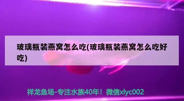 紅龍魚什么時候上側燈（紅龍魚多大上側燈）（紅龍魚什么時候上側燈好，紅龍魚缸內燈光的使用方法）