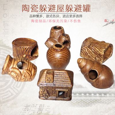 龍魚可以和鯊魚一起飼養嗎圖片欣賞