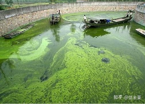 如何預防水質老化？（凈水器用久了不如自來水中關村在線水質老化的原因及處理措施）