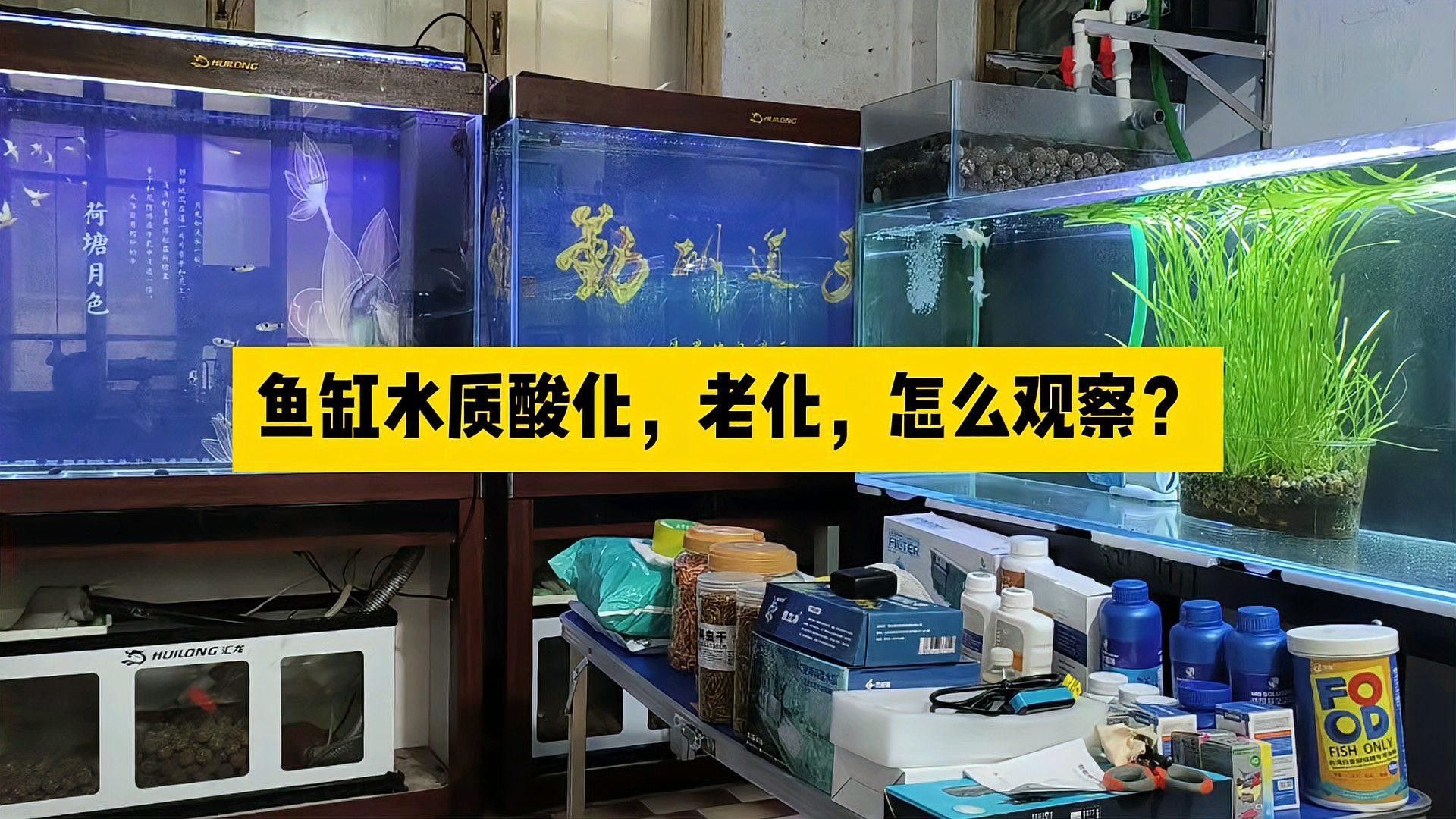 如何預防水質老化？（凈水器用久了不如自來水中關村在線水質老化的原因及處理措施）