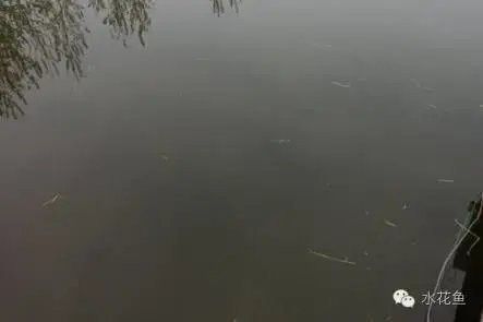 如何預防水質老化？（凈水器用久了不如自來水中關村在線水質老化的原因及處理措施）